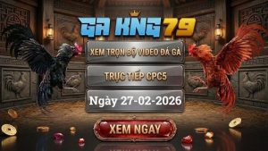 GAKING79 Xem Full Clip Da Ga Truc Tiep CPC5 Ngay 27022026 1