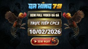 Xem Full Clip Da Ga Truc Tiep CPC3 Ngay 10022026 2