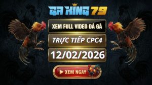 Xem Full Clip Da Ga Truc Tiep CPC4 Ngay 12022026 2