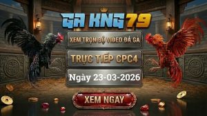 Xem Full Clip Đá Gà Trực Tiếp CPC4 Ngày 23/03/2026