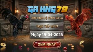 Xem Full Clip Đá Gà Trực Tiếp CPC3 Ngày 19/04/2026