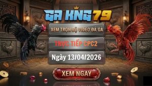Video đá gà CPC2 ngày 13_04_2026
