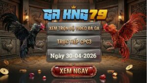 Xem Full Clip Đá Gà Trực Tiếp CPC3 Ngày 30/04/2026