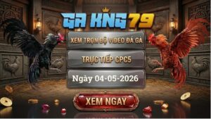 Xem Full Clip Đá Gà Tại Bồ CPC5 Ngày 04/05/2026
