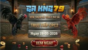 Xem Full Clip Đá Gà Bồ CPC2 Ngày 19/05/2026