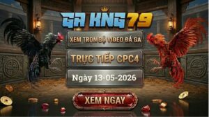 Xem Full Clip Đá Gà Bồ CPC4 Ngày 13/05/2026