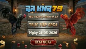 Xem Full Clip Đá Gà Bồ CPC4 Ngày 21/05/2026