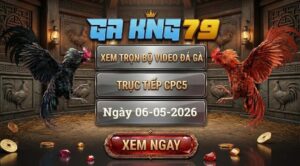 Xem Full Clip Đá Gà Bồ CPC5 Ngày 06/05/2026