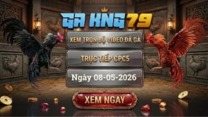 Xem Full Clip Đá Gà Bồ CPC5 Ngày 08/05/2026