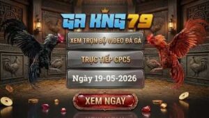 Xem Full Clip Đá Gà Bồ CPC5 Ngày 19/05/2026