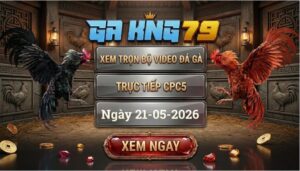 Xem Full Clip Đá Gà Bồ CPC5 Ngày 21/05/2026