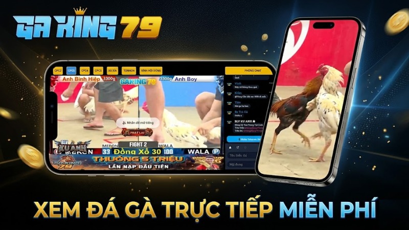 GAKING79 - Trực Tiếp Đá Gà Thomo Full Bồ GAKING79 - Trực Tiếp Đá Gà Thomo Full Bồ