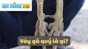 Tìm Hiểu Về Vảy Gà Quý cùng GAKING79