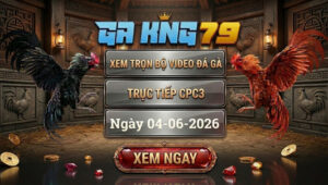 Xem Full Video Đá Gà CPC3 4/6/2026 Tại GAKING79