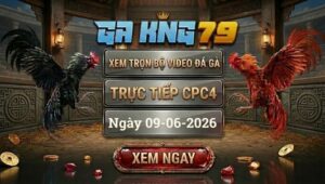 Xem Full Video Đá Gà CPC4 Ngày 09/06/2026 Tại GAKING79