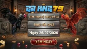 Xem Full Video Đá Gà CPC5 Ngày 26/07/2026 Tại GAKING79