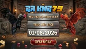 Xem Full Video Đá Gà CPC5 Ngày 1/8/2026 tại GAKING79